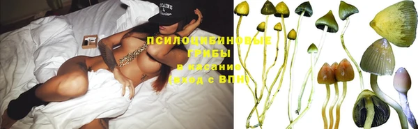 эйфоретик Баксан